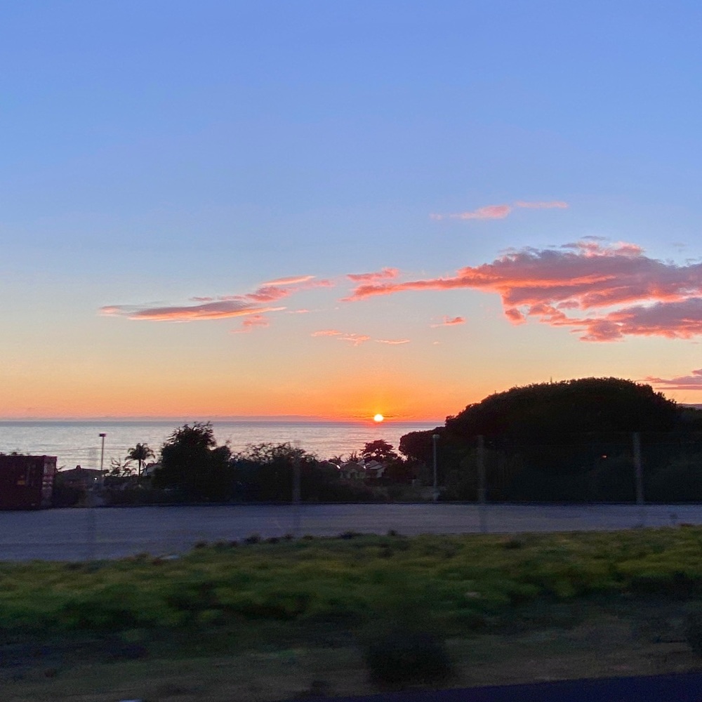 Meet your Posher, Bella dior